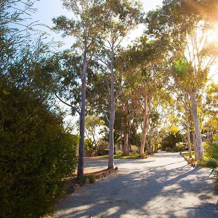 Modra'S Apartments Tumby Bay Экстерьер фото