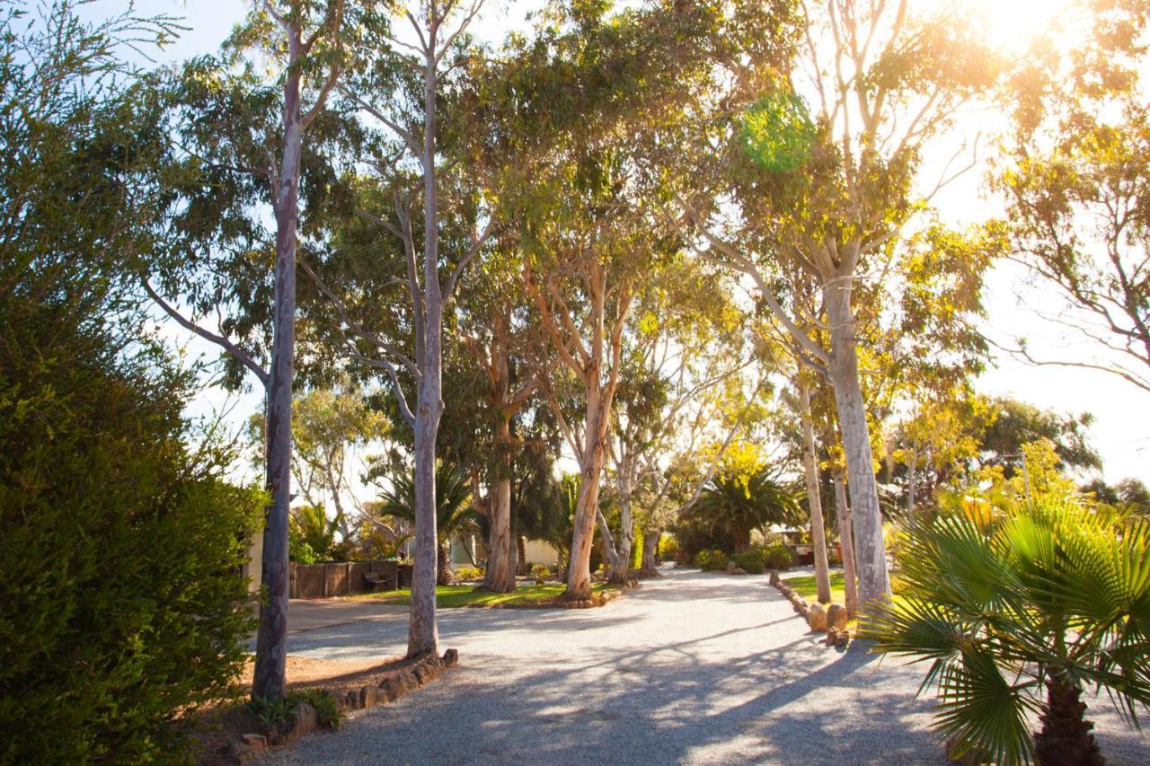 Modra'S Apartments Tumby Bay Экстерьер фото